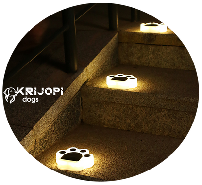 DogWalker’s ¦ Delight Solar Lights