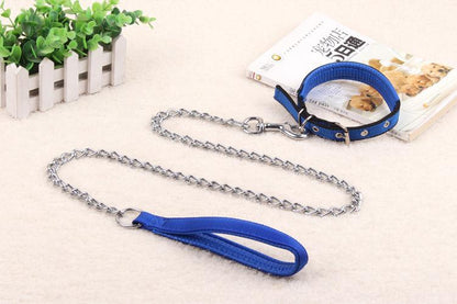 PawPowerChain ¦ Durable Traction Leash for Strong Dogs