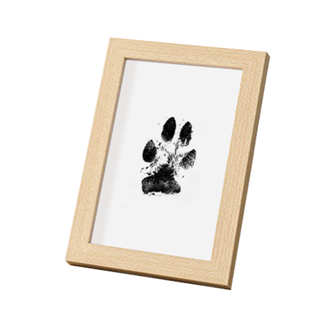 My Paw-some Memory ¦ DIY Paw Print Album Kit