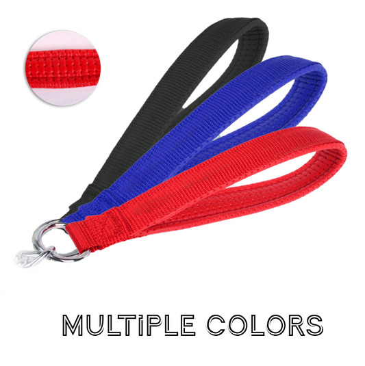 PawPowerChain ¦ Durable Traction Leash for Strong Dogs