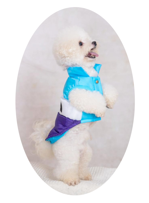 Woof-Warmth ¦ Fashionable Winter Gear for Pups