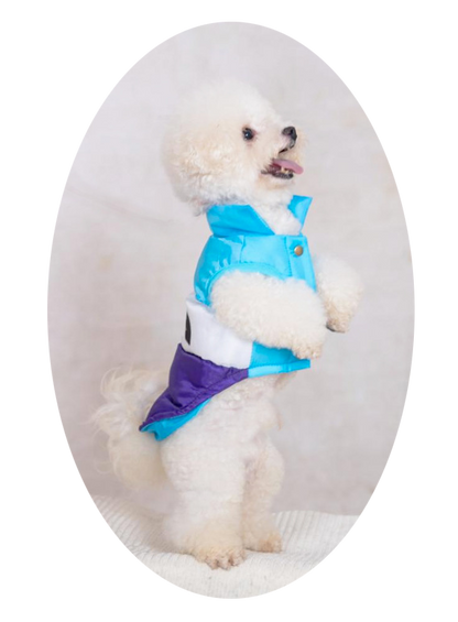 Woof-Warmth ¦ Fashionable Winter Gear for Pups