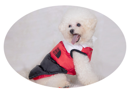 Woof-Warmth ¦ Fashionable Winter Gear for Pups