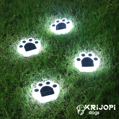 DogWalker’s ¦ Delight Solar Lights