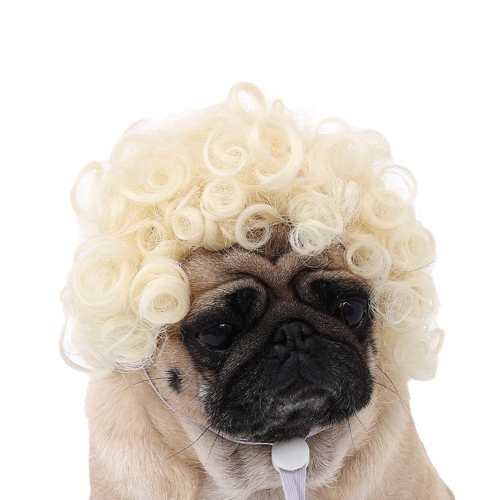 Furr-tastic Wiggin ¦ Costume Magic for Your Dog