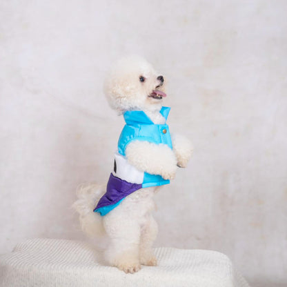 Woof-Warmth ¦ Fashionable Winter Gear for Pups