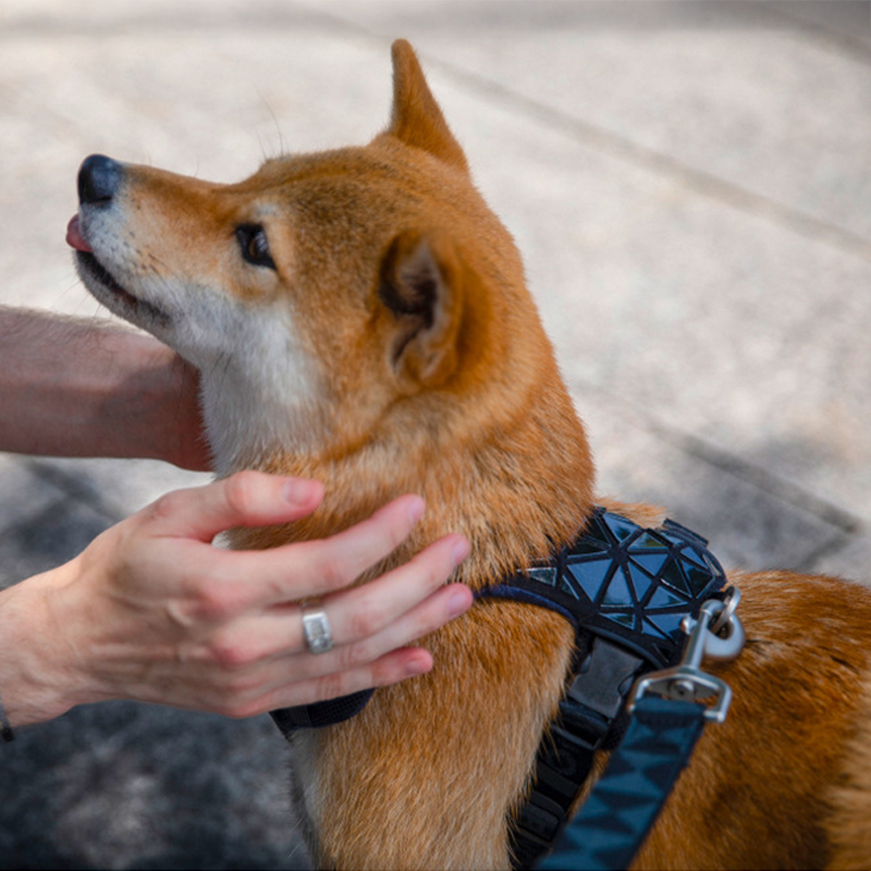 Elite PawSafe ¦ Power Vest - Secure, Stylish, and Strong